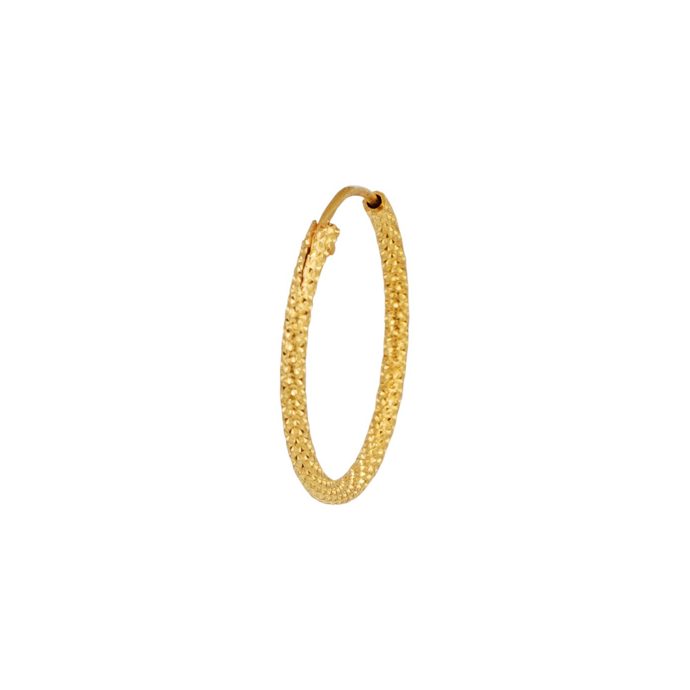 fancy earring